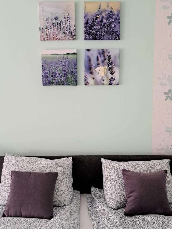 Soul Hotel Palic Ngoại thất bức ảnh