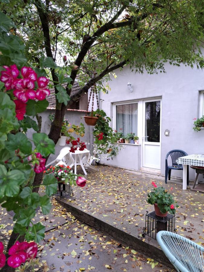 Soul Hotel Palic Ngoại thất bức ảnh